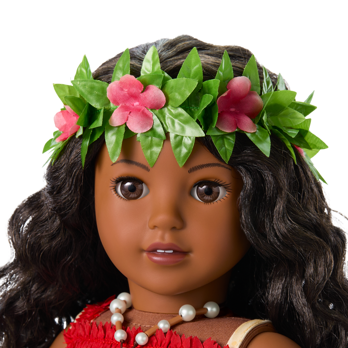 Disney Moana Accessories, Pua & Heihei by American Girl?